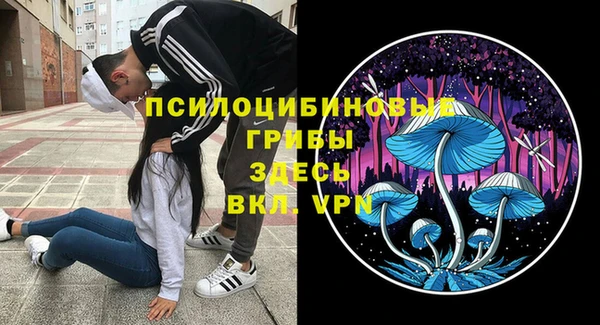 PSILOCYBIN Аркадак