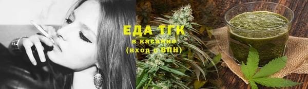 PSILOCYBIN Аркадак
