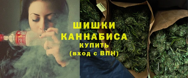 PSILOCYBIN Аркадак