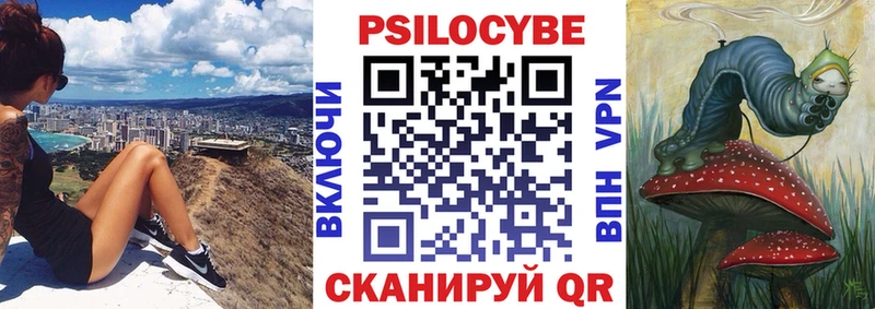 закладка  mega вход  Псилоцибиновые грибы Magic Shrooms  Борисоглебск 